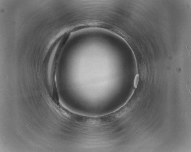 X0000060740350200511241644