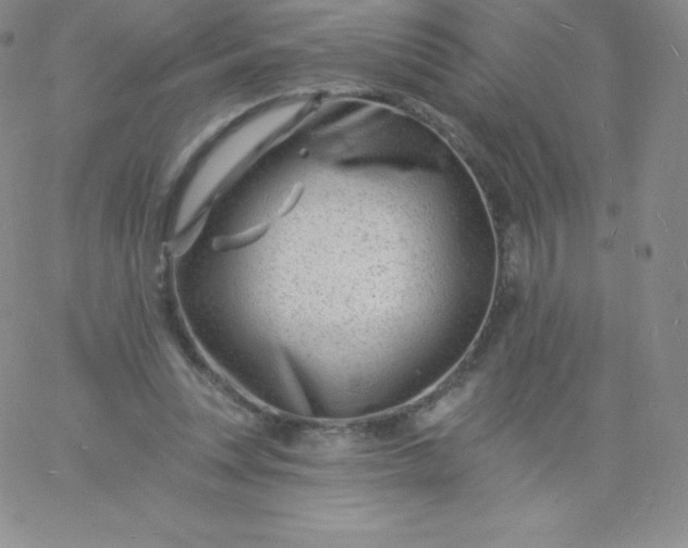 X0000060740351200511241644