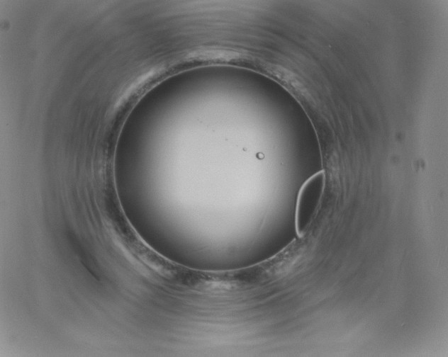 X0000060740352200511241644