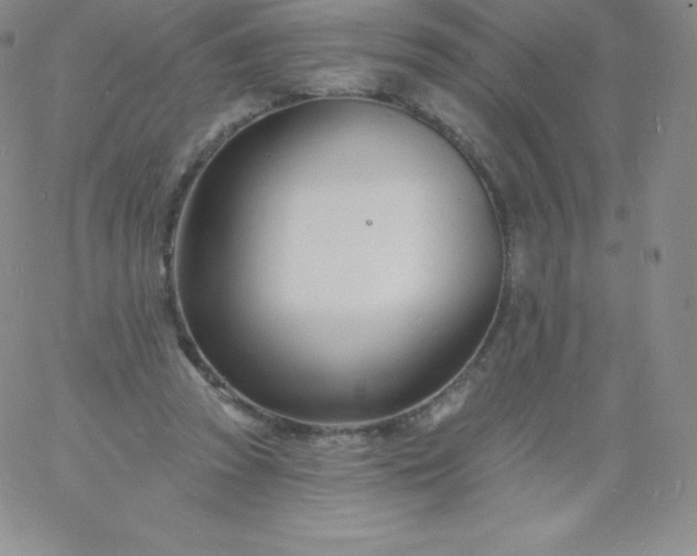 X0000060740353200511241644