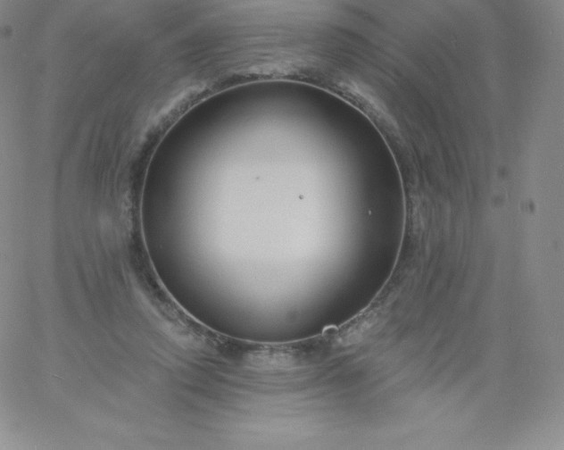 X0000060740354200511241644