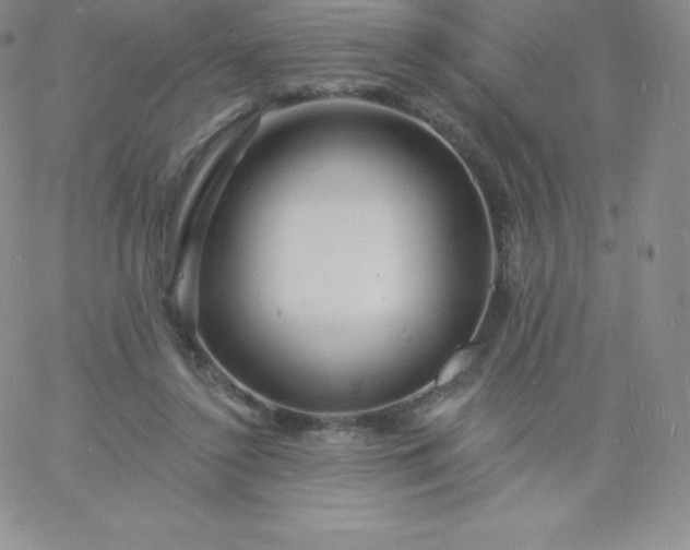 X0000060740356200511241644