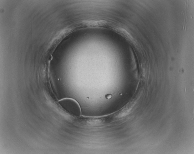 X0000060740357200511241644