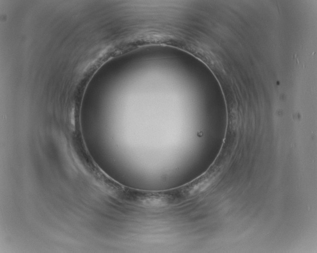 X0000060740358200511241644