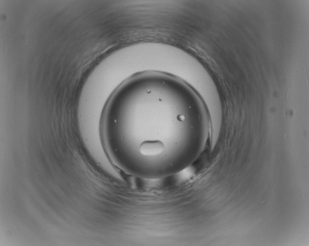 X0000060740359200511241644