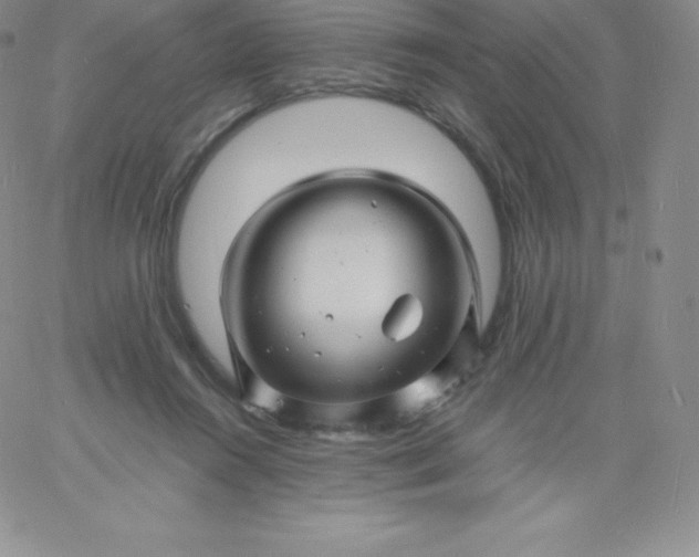 X0000060740360200511241644