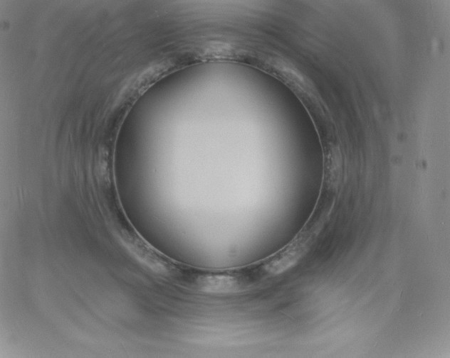 X0000060740361200511241644