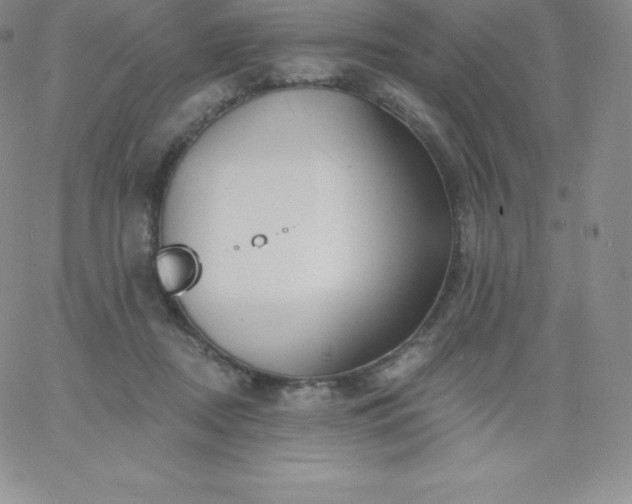 X0000060740362200511241644