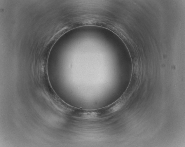 X0000060740363200511241644