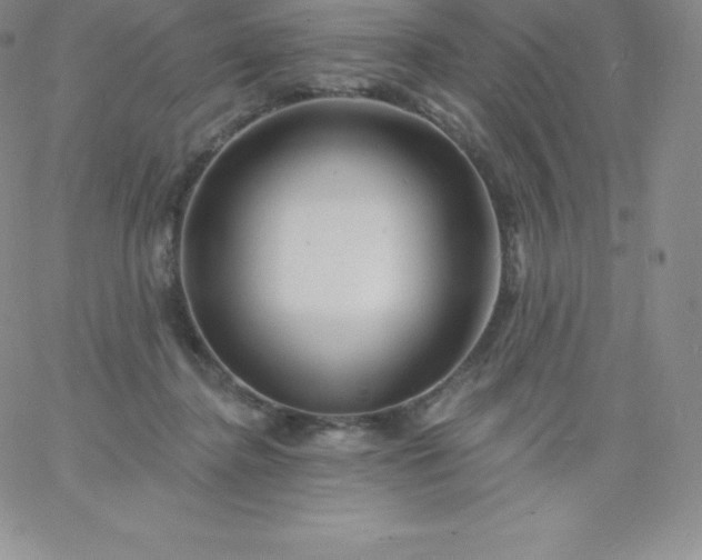 X0000060740364200511241644