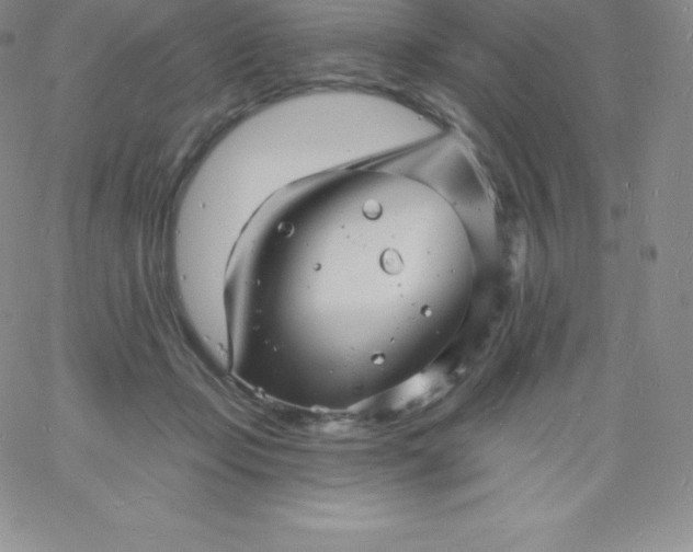 X0000060740365200511241644