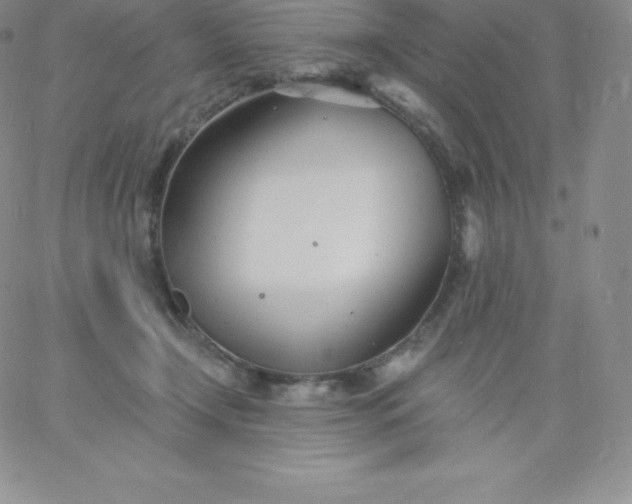 X0000060740366200511241644