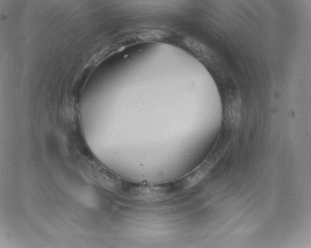 X0000060740367200511241644