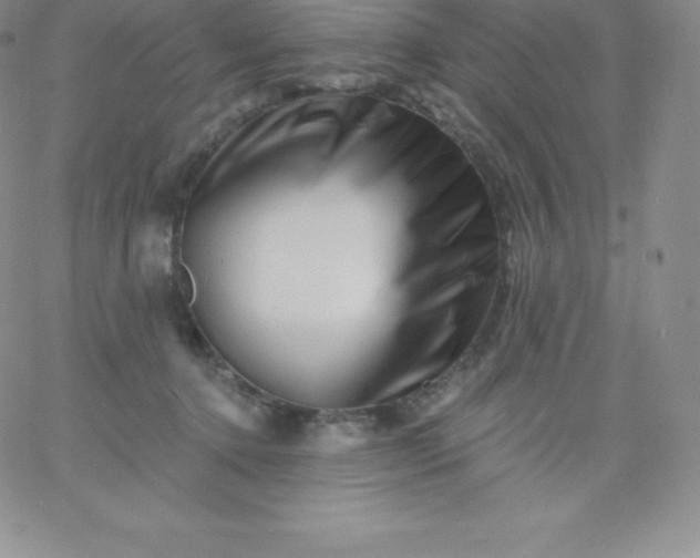 X0000060740368200511241644