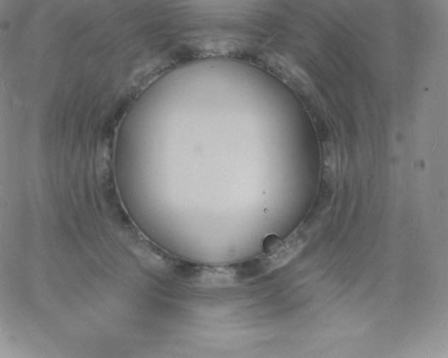 X0000060740369200511241644