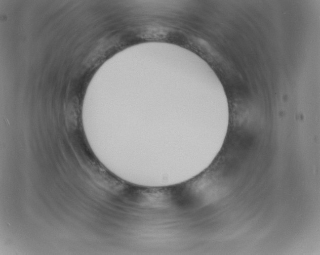 X0000060740370200511241644