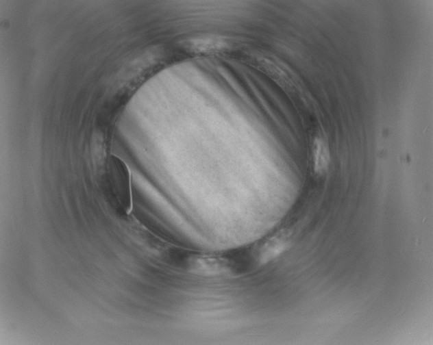 X0000060740372200511241644