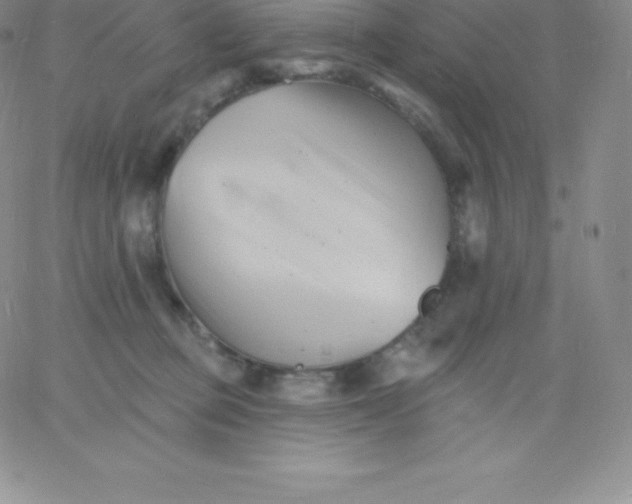 X0000060740373200511241644