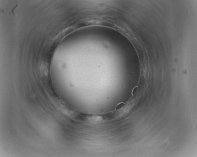 X0000060740374200511241644