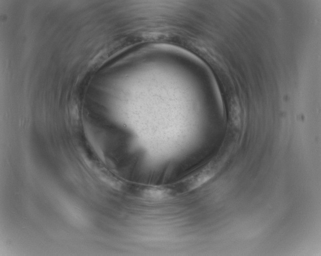 X0000060740375200511241644