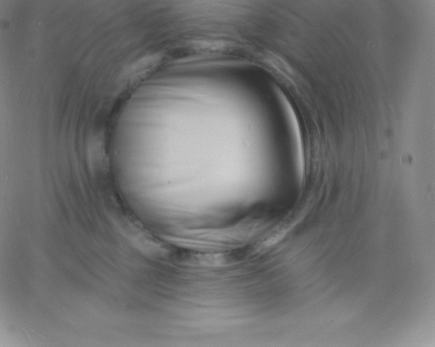 X0000060740377200511241644