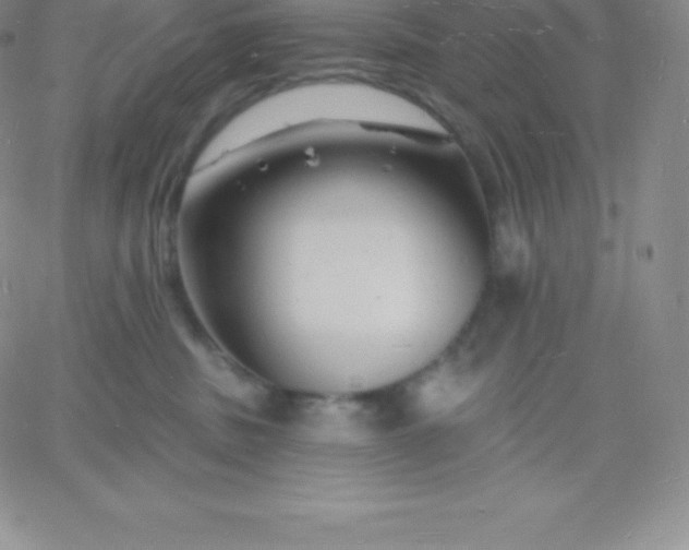 X0000060740379200511241644