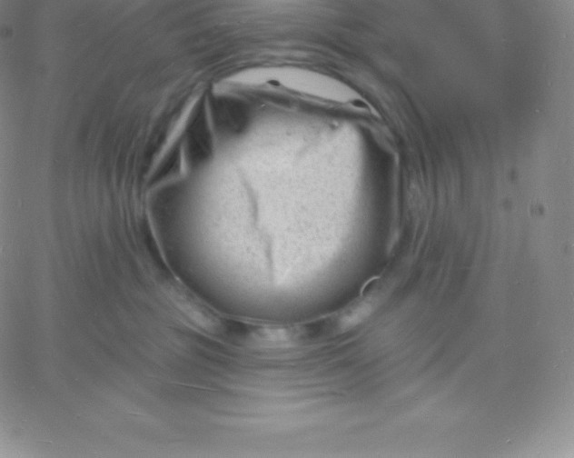 X0000060740381200511241644