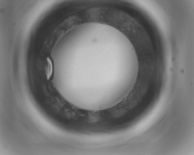 X0000060740382200511241644