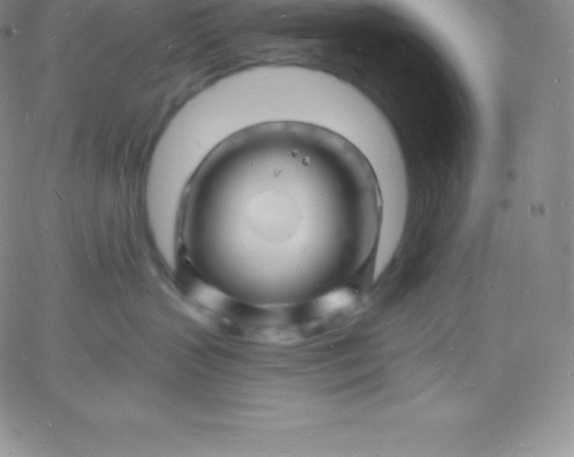 X0000060740383200511241644