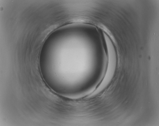 X0000060740385200511241643