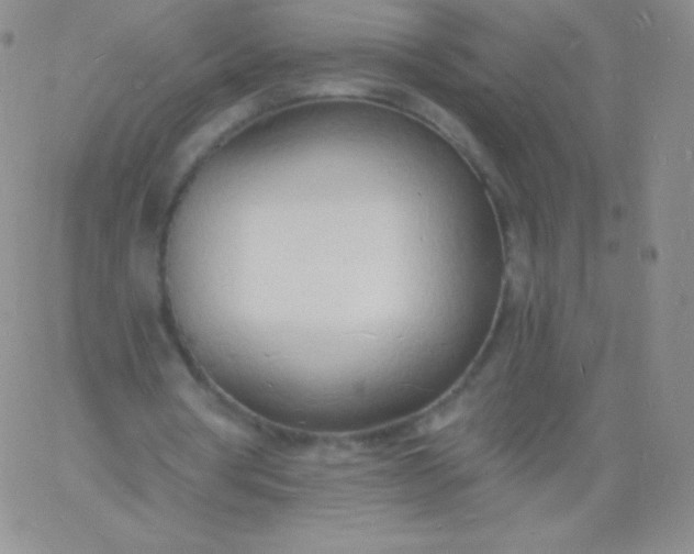 X0000060740386200511241643