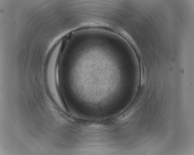 X0000060740387200511241643