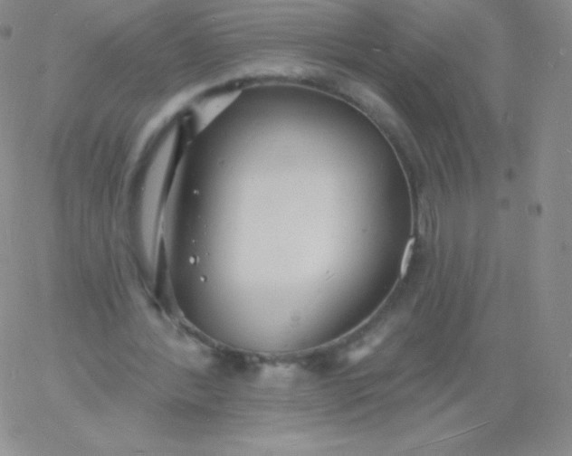 X0000060740388200511241643