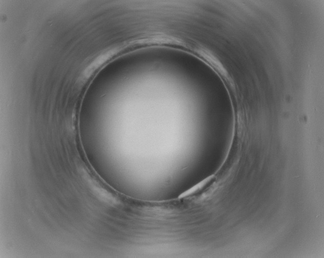 X0000060740389200511241643