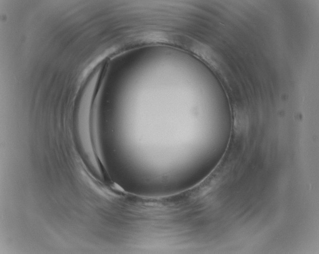 X0000060740390200511241643