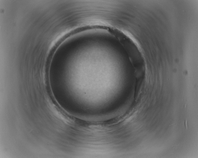 X0000060740391200511241643