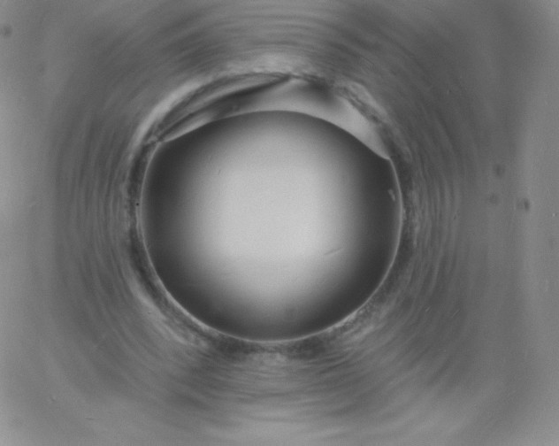 X0000060740392200511241643