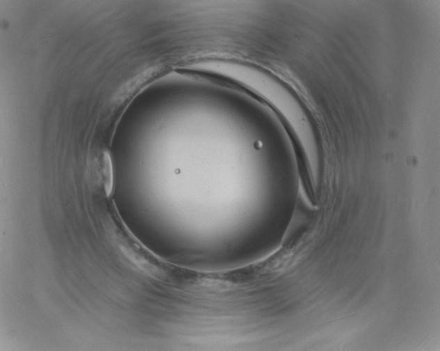 X0000060740393200511241643