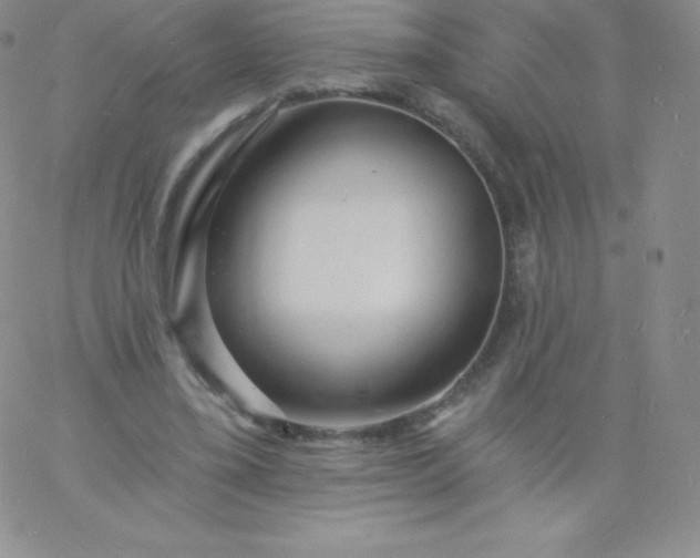 X0000060740395200511241643