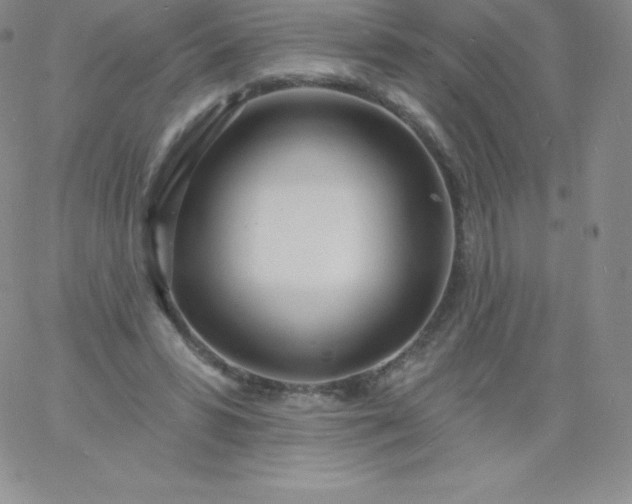 X0000060740399200511241643