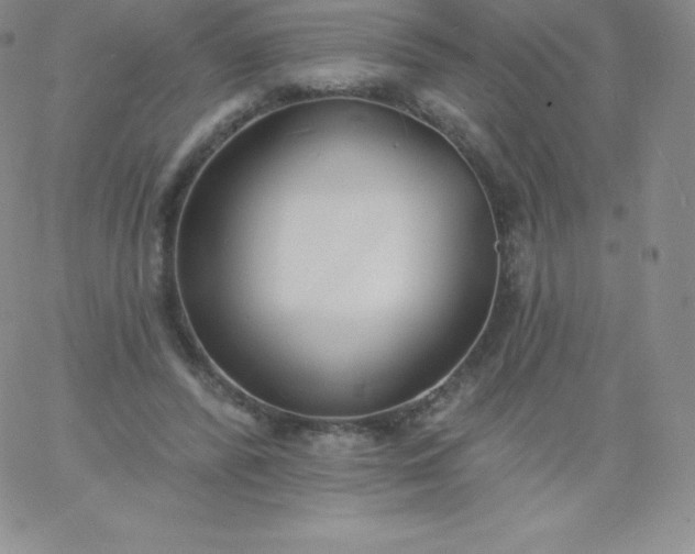 X0000060740400200511241643