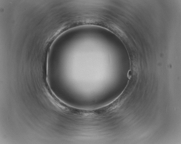 X0000060740401200511241643