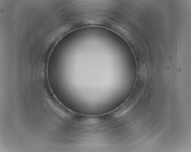 X0000060740402200511241643