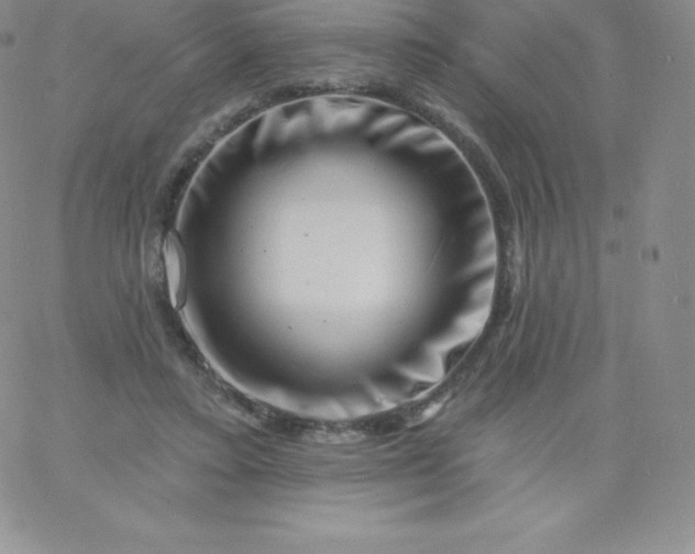 X0000060740403200511241643