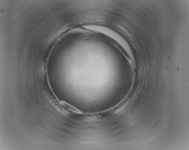 X0000060740405200511241643