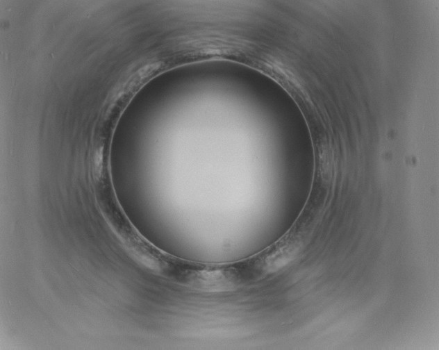 X0000060740406200511241643