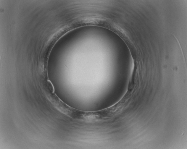 X0000060740407200511241643