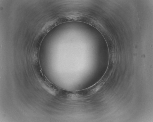 X0000060740408200511241643