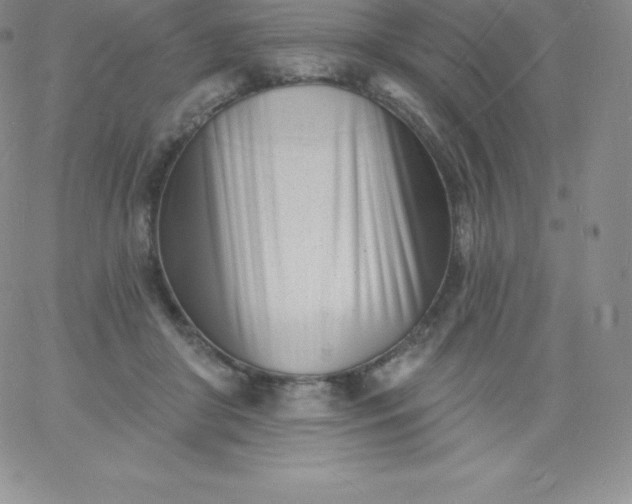 X0000060740410200511241643