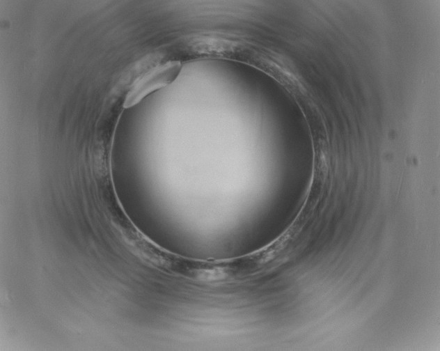 X0000060740411200511241643